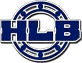 Shandong Halin Group Co.,Ltd